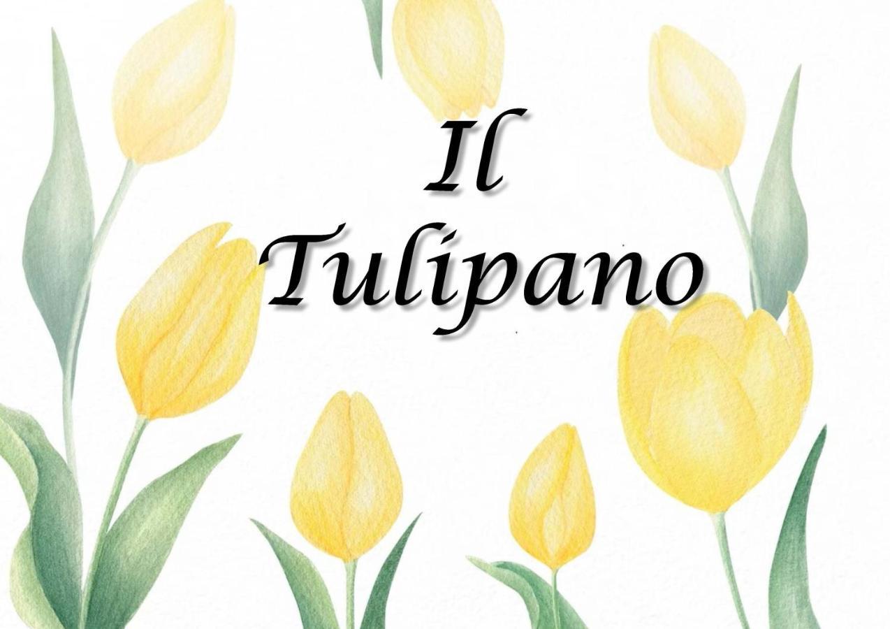 Il Tulipano Διαμέρισμα Trezzano Rosa Εξωτερικό φωτογραφία